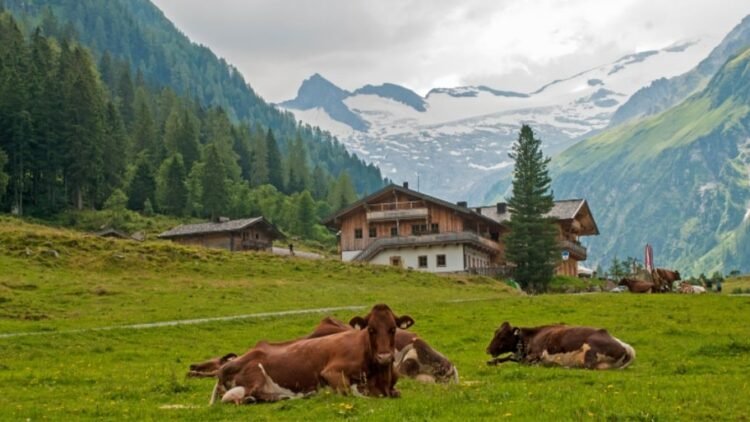 Tirolsko